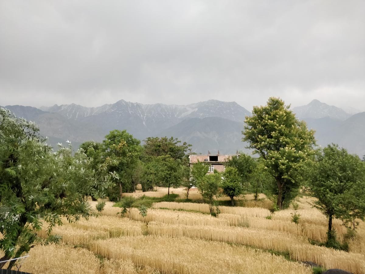 D'Polo Club & Spa Resort Dharamsala Zewnętrze zdjęcie