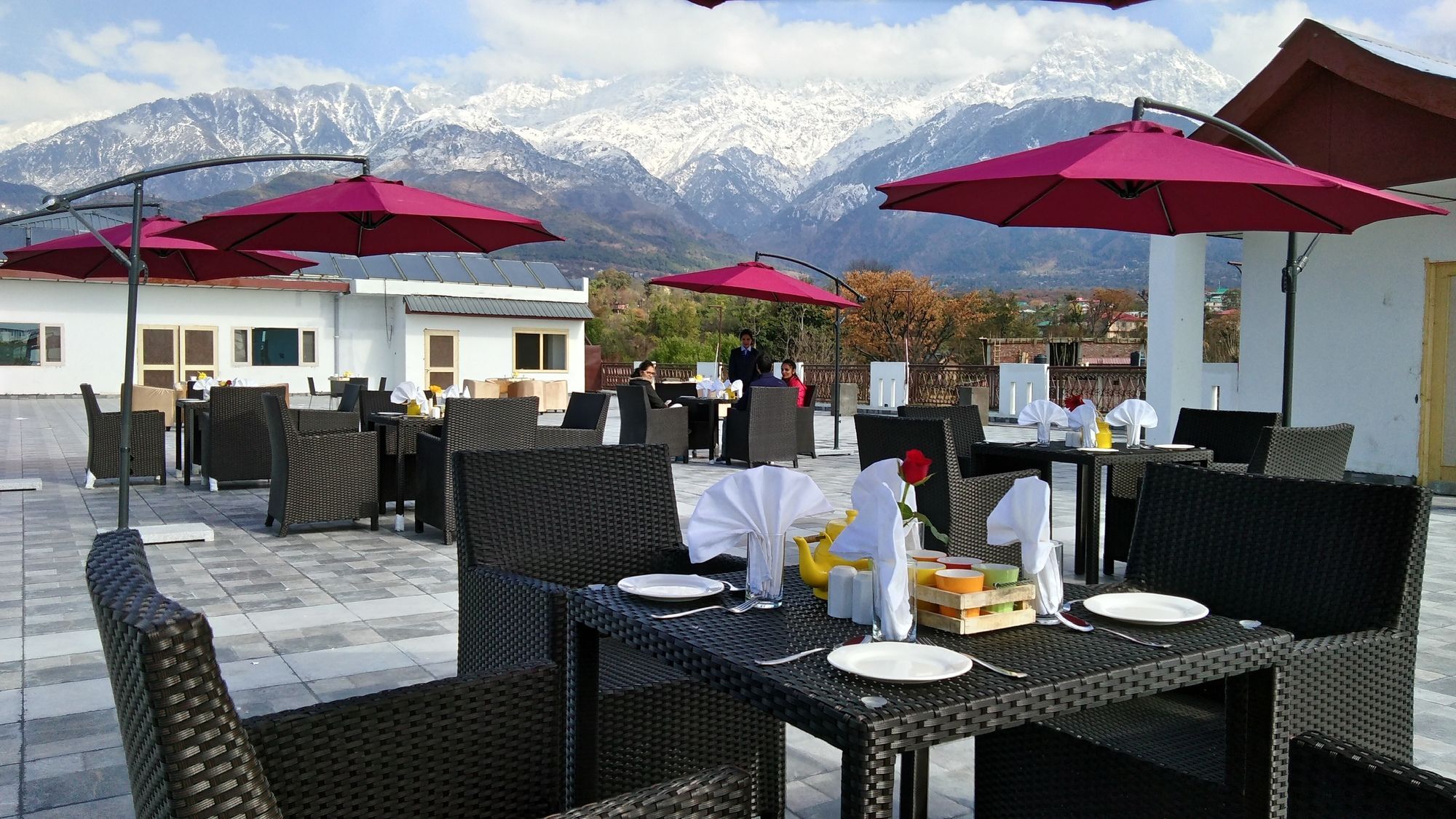 D'Polo Club & Spa Resort Dharamsala Zewnętrze zdjęcie