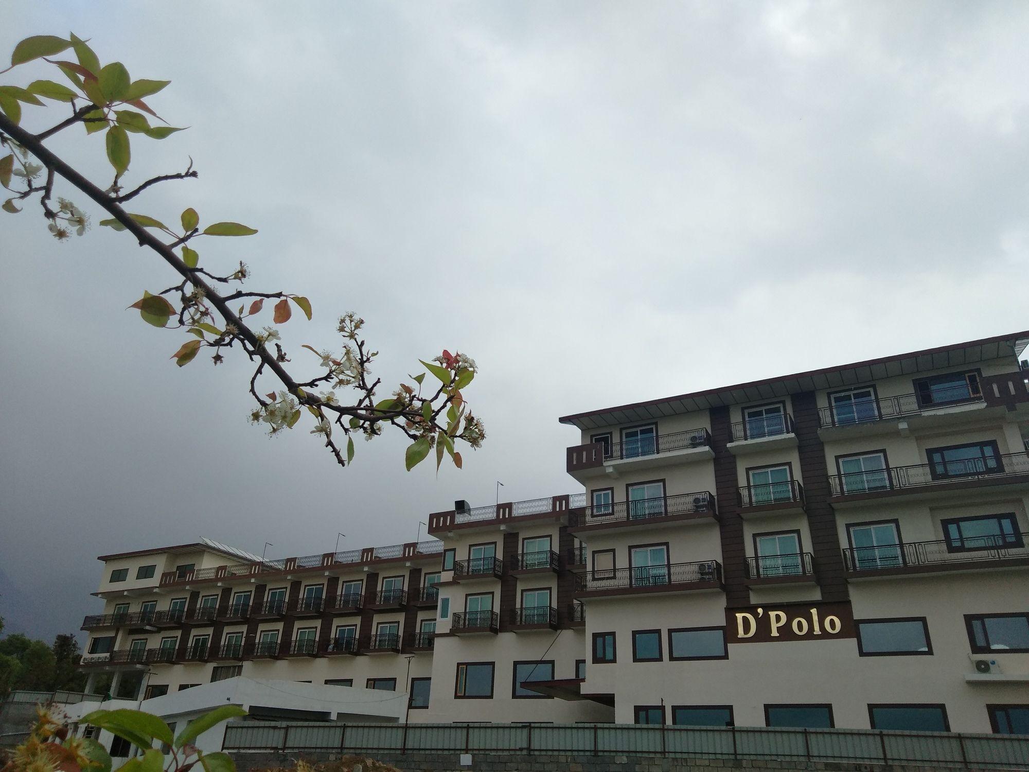 D'Polo Club & Spa Resort Dharamsala Zewnętrze zdjęcie
